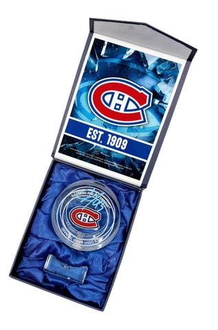 Ivan Demidov Autographed Ice Used Crystal Puck